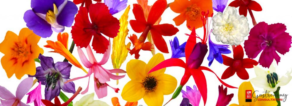 Edible Flowers and Microsprouts in Kitchens