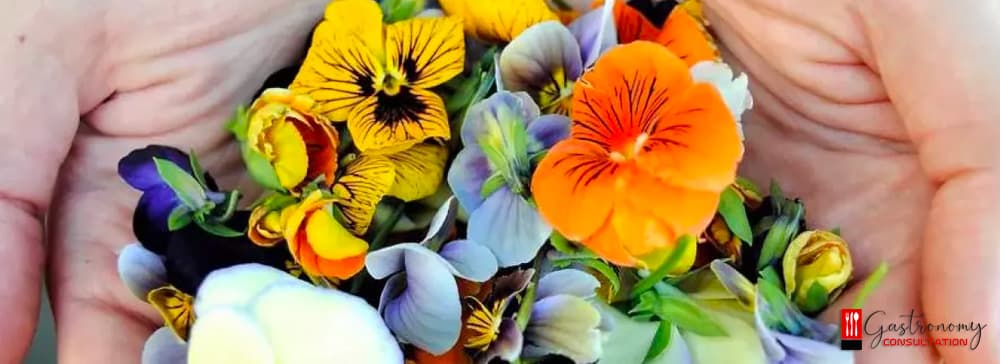 What Are Edible Flowers?