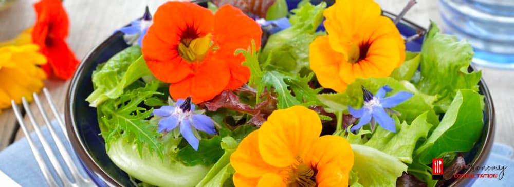 What Are Edible Flowers?