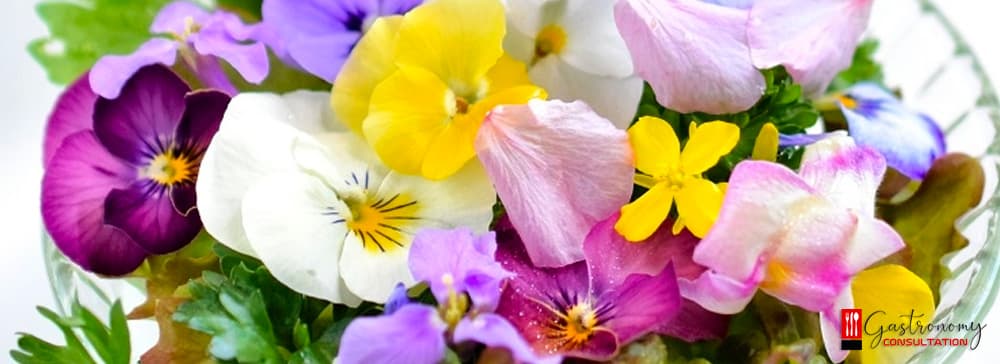 What Are Edible Flowers?