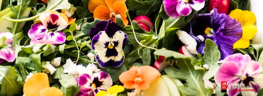 What Are Edible Flowers?