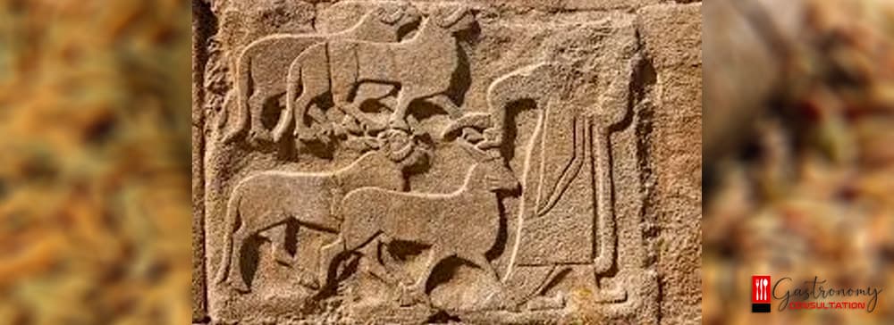 Hittite Food Culture and Hittite Culinary Culture